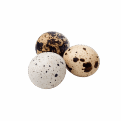 product-25